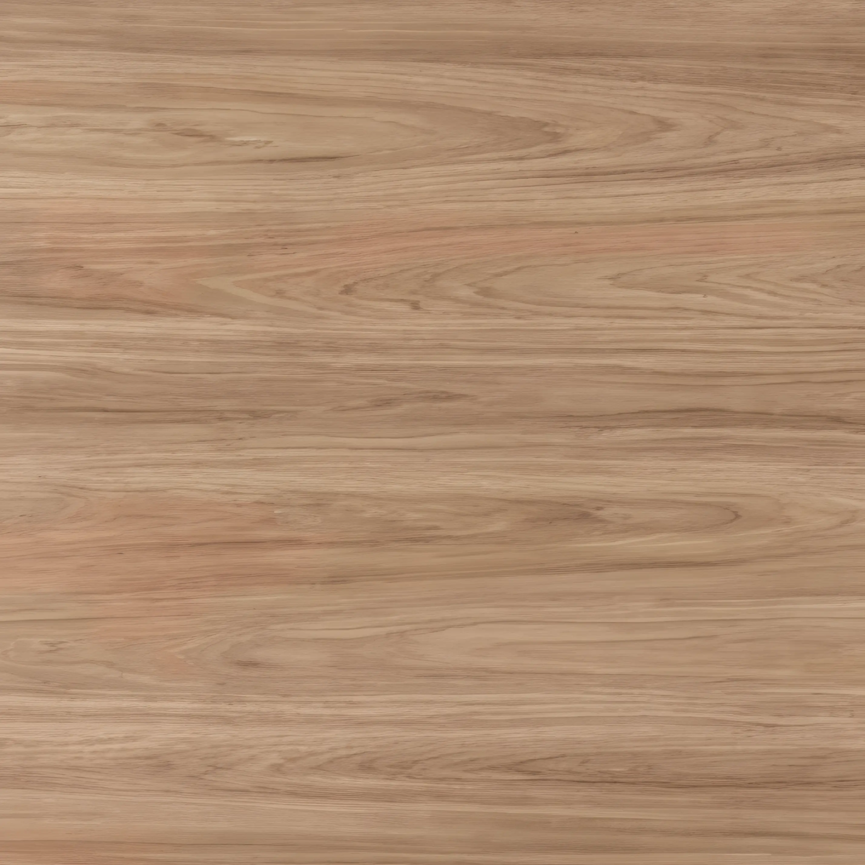 Descrição da imagem 4